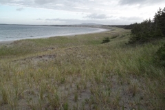 Newfoundland-Tour-2014-ACC-0084