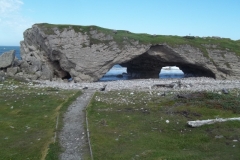 Newfoundland-Tour-2014-ACC-0099