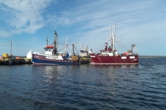 Newfoundland-Tour-2014-ACC-0131