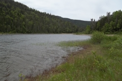 Newfoundland-Tour-2015-ACC-0008