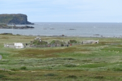 Newfoundland-Tour-2015-Rowena-Maclure-0050