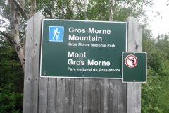 Newfoundland-Tour-2016-ACC-0035