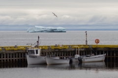 Newfoundland-Tour-2017-Alex-Svetlitsky-0023