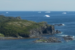 Newfoundland-Tour-2017-Alex-Svetlitsky-0032
