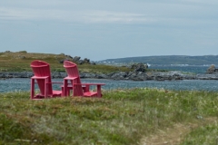 Newfoundland-Tour-2017-Alex-Svetlitsky-0034