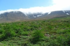 Newfoundland-Tour-2018-ACC-0024