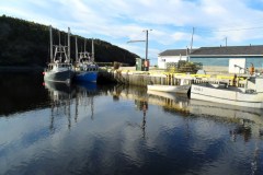 Newfoundland-Tour-2018-ACC-0041