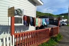 Newfoundland-Tour-2018-ACC-0050
