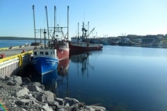 Newfoundland-Tour-2018-ACC-0100