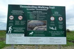Newfoundland-Tour-2018-ACC-0141