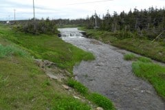 Newfoundland-Tour-2018-ACC-0143
