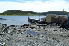 Newfoundland-Tour-2018-ACC-0160