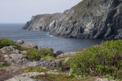 Newfoundland-Tour-2018-Paul-Gronhovd-0006