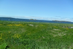 Newfoundland-Tour-2019-ACC-0174