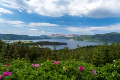 Newfoundland-Tour-2022-Josh-Anzicek-0031