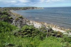 Newfoundland-Tour-2022-ACC-0060