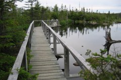 Newfoundland-Tour-1997-2009-ACC-0029