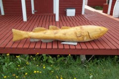 Newfoundland-Tour-2011-ACC-0156