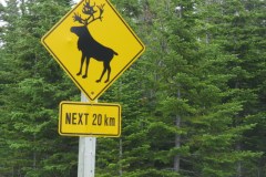 Newfoundland-Tour-2012-ACC-0009