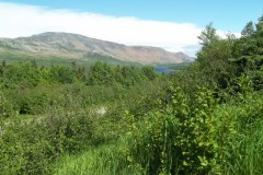 Newfoundland-Tour-2013-ACC-0013