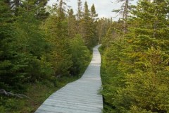 Newfoundland-Tour-2013-ACC-0055
