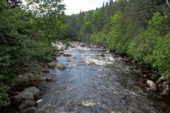Newfoundland-Tour-2014-ACC-0055