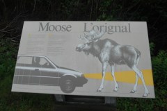 Newfoundland-Tour-2016-ACC-0026