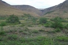 Newfoundland-Tour-2017-ACC-0016