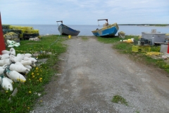 Newfoundland-Tour-2018-ACC-0071