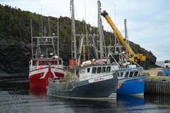 Newfoundland-Tour-2019-ACC-0044