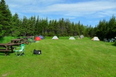Newfoundland-Tour-2019-ACC-0063