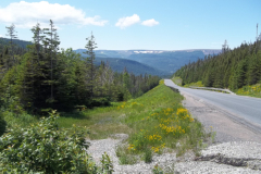 Newfoundland-Tour-2022-ACC-0008