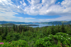 Newfoundland-Tour-2022-Josh-Anzicek-0002