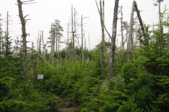 Nova-Scotia-Eastern-Shore-Tour-2016-Alan-Hathway0014