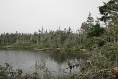 Nova-Scotia-Eastern-Shore-Tour-2016-Alan-Hathway0015