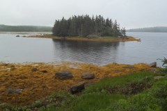 Nova-Scotia-Eastern-Shore-Tour-2016-ACC-0024