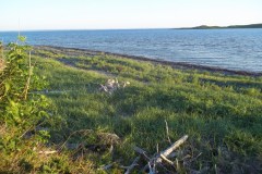 Nova-Scotia-Eastern-Shore-Tour-2016-ACC-0062