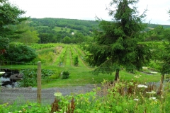 Nova-Scotia-Bicycle-Tour-2019-ACC-0156