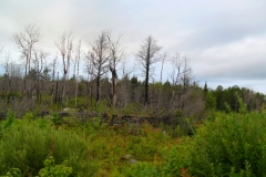 Nova-Scotia-Bicycle-Tour-2019-ACC-0161