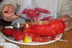 Prince-Edward-Island-East-Tour-1992-2009-ACC-0050