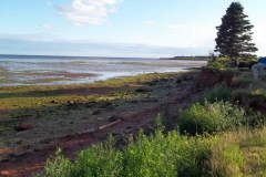 Prince-Edward-Island-East-Tour-2011-ACC-0046