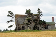 Prince-Edward-Island-East-Tour-2013-John-Webb-0025