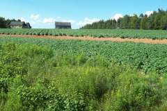 Prince-Edward-Island-East-Tour-2015-ACC-0067