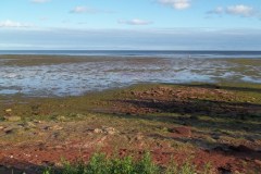 Prince-Edward-Island-East-Tour-2011-ACC-0045