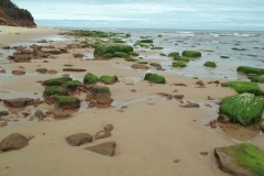 Prince-Edward-Island-East-Tour-2011-ACC-0083