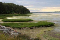 Prince-Edward-Island-East-Tour-2017-Richard-Gooch-0005