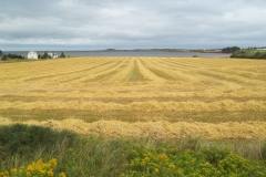 Prince-Edward-Island-West-Tour-2012-ACC-0022
