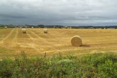 Prince-Edward-Island-West-Tour-2012-ACC-0023