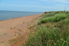 Prince-Edward-Island-West-Tour-2018-ACC-0115