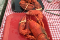 Prince-Edward-Island-West-Tour-2016-Rochelle-Dubetz-0001